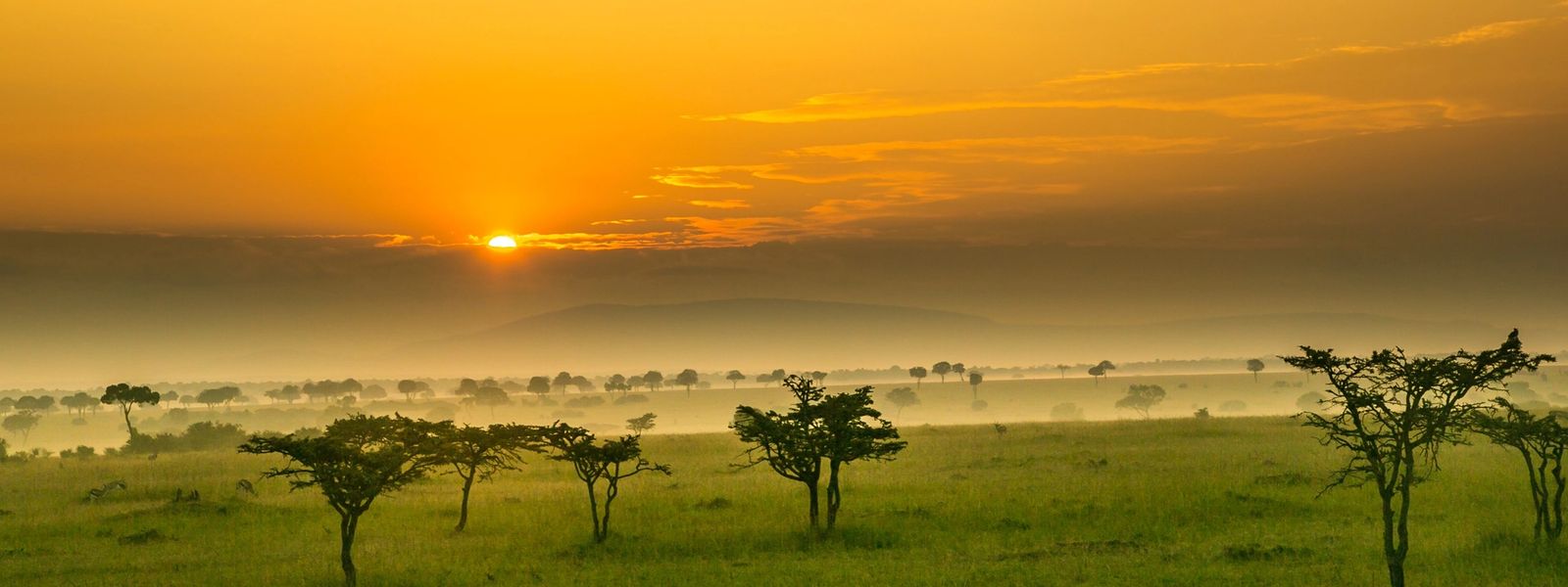 Nos destinations africaines favorites en 2023