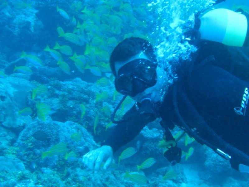 David Ryan explorando las maravillas submarinas en Seychelles