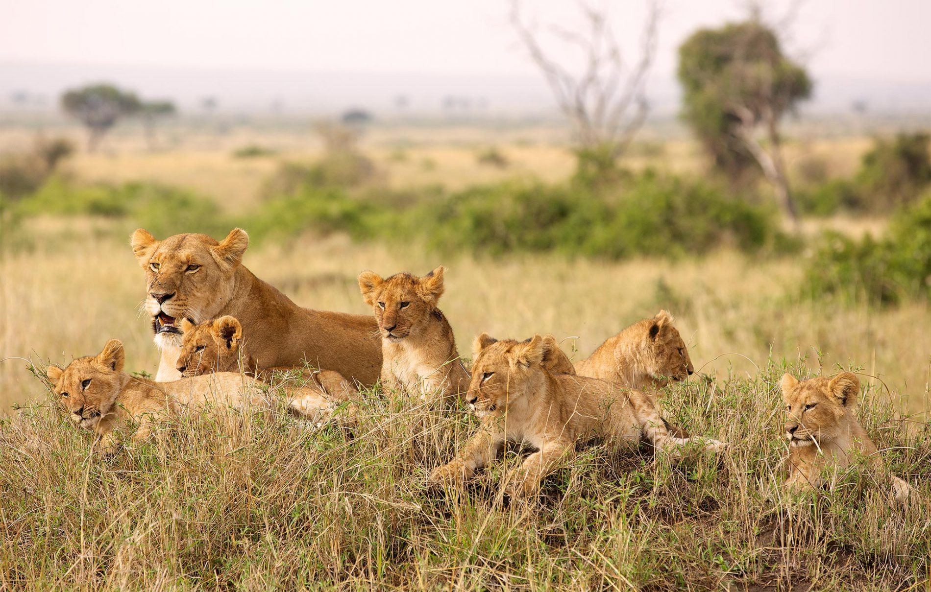 Our Top Destinations For African Travel in December