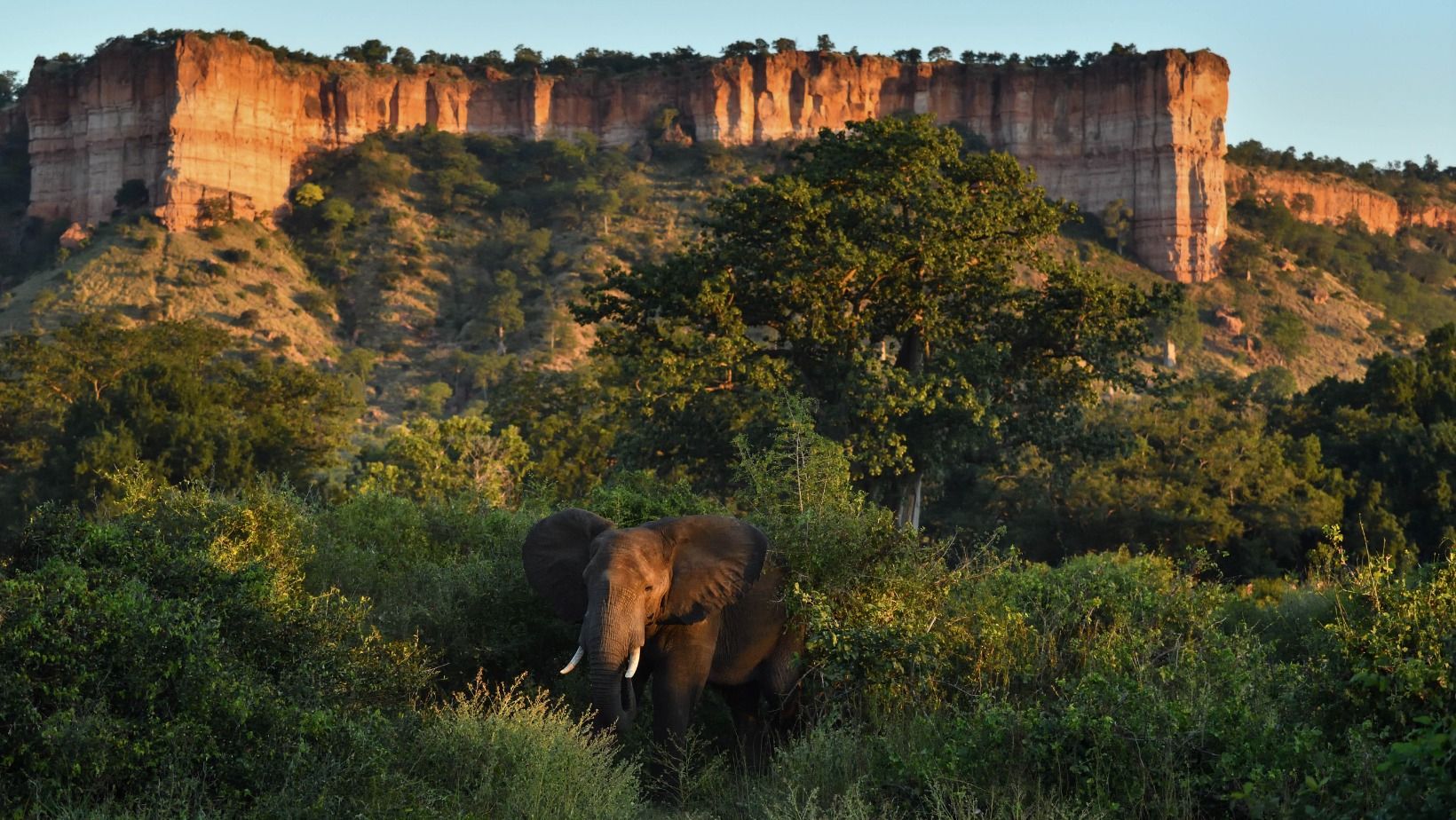 Feel Like an Explorer in Gonarezhou National Park