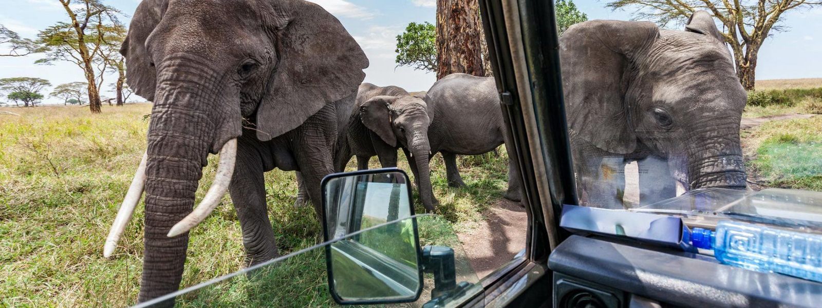 ¿A qué lugares de África puedes viajar ahora mismo?