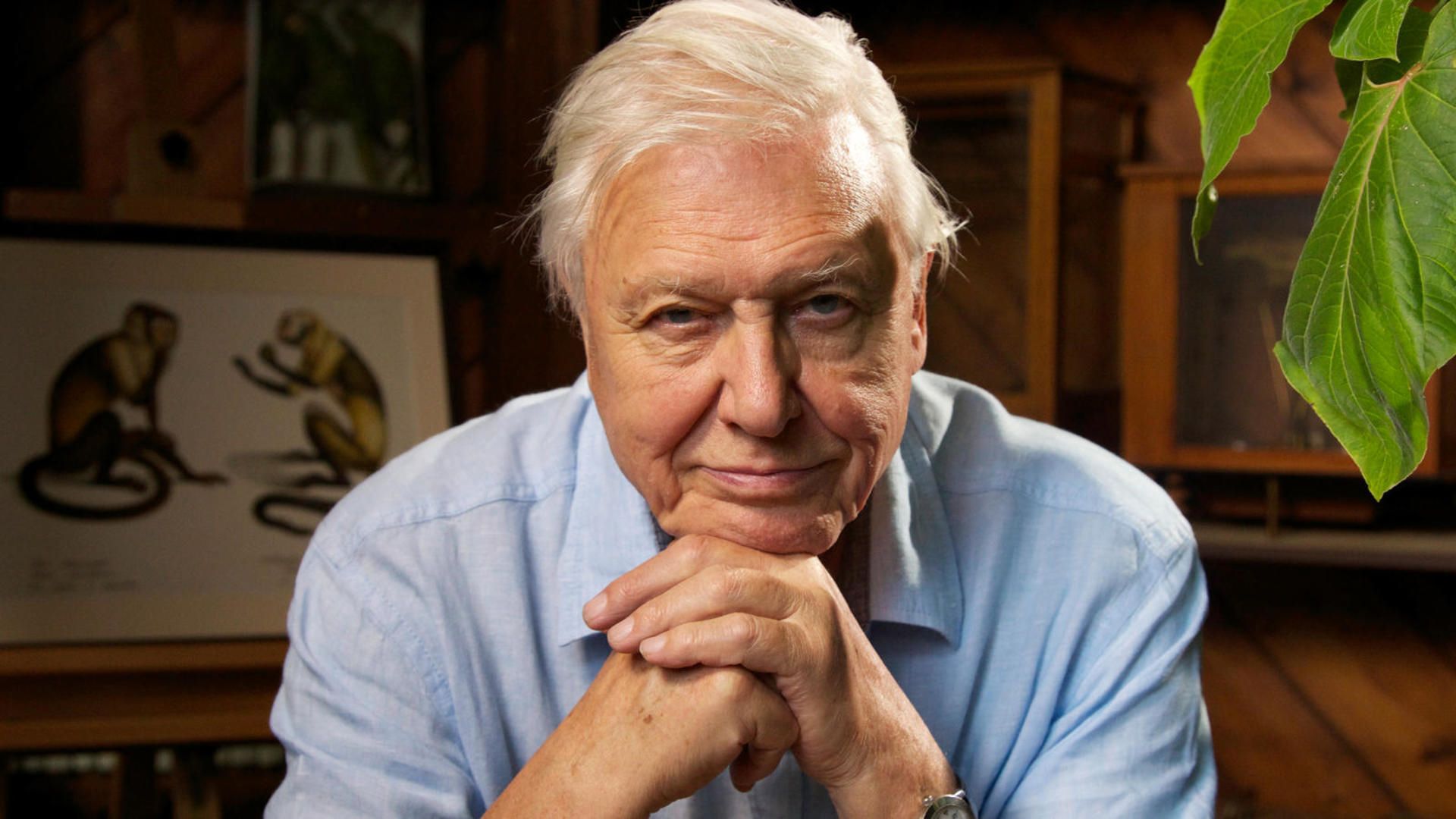 The 10 Best David Attenborough Quotes of All Time