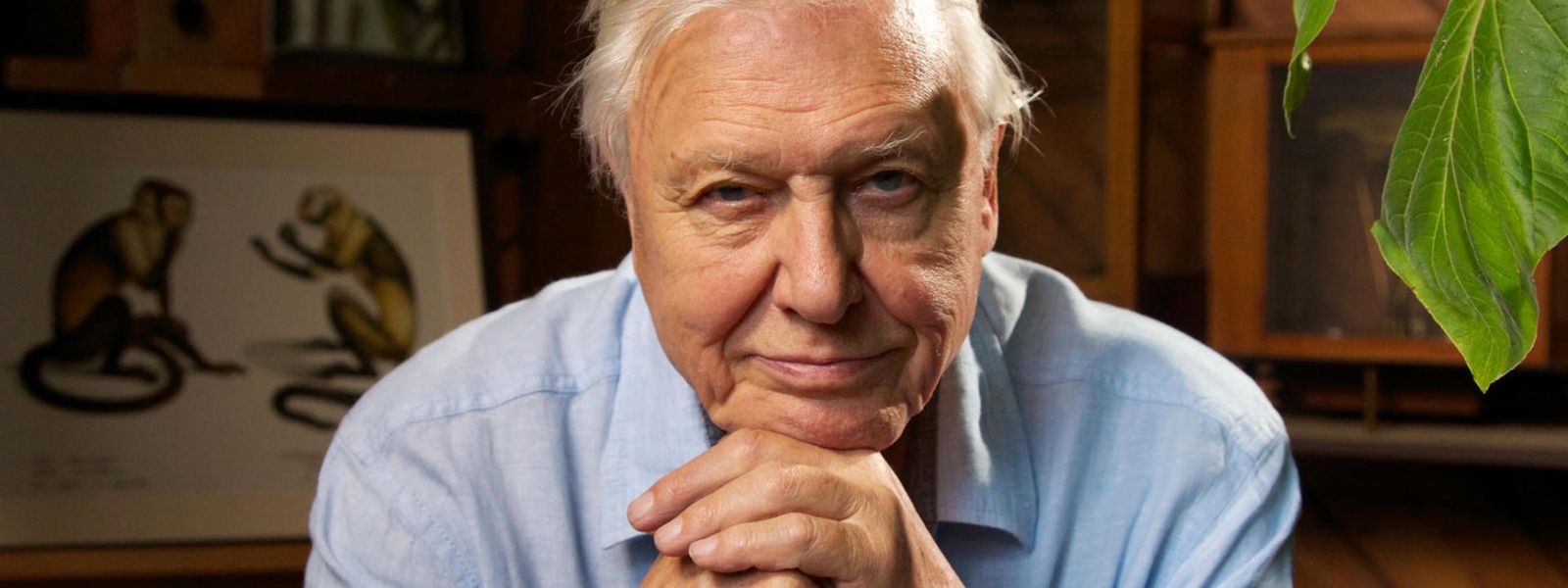 The 10 Best David Attenborough Quotes of All Time