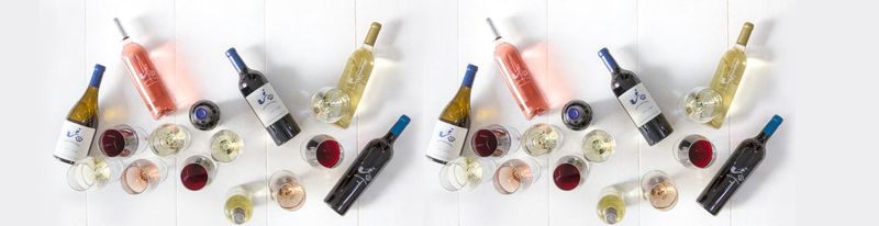 Variedad de vinos para disfrutar de tu día en los viñedos