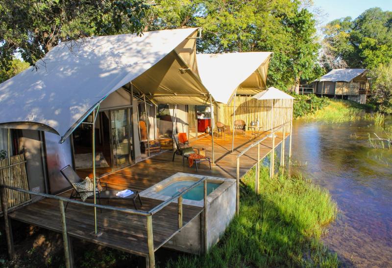 Elephants can be seen strolling along the mainland while on a Zambezi cruise