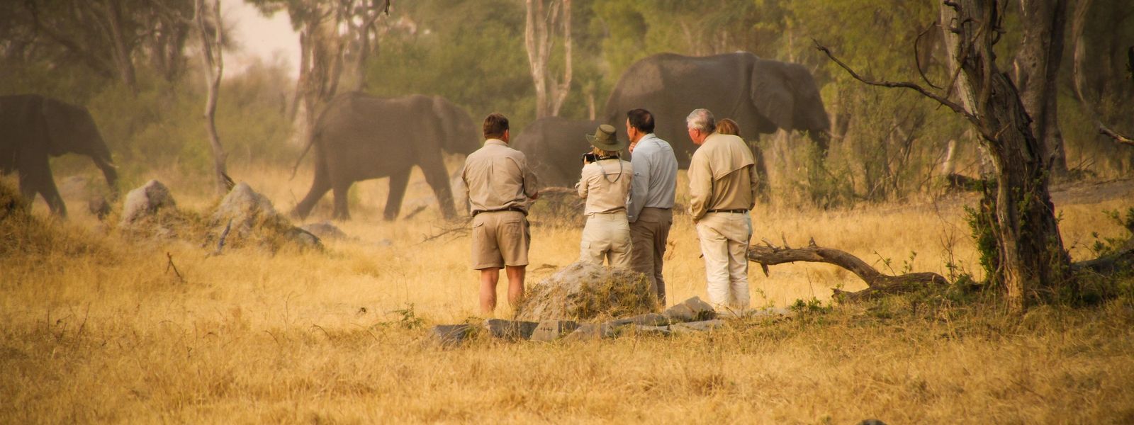 Zimbabwe’s Top National Parks