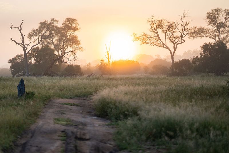 O pôr do sol em África é um dos mais bonitos do mundo