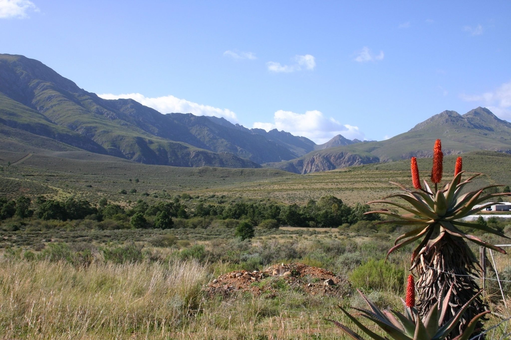 Am Weg zur Garden Route - Route 62