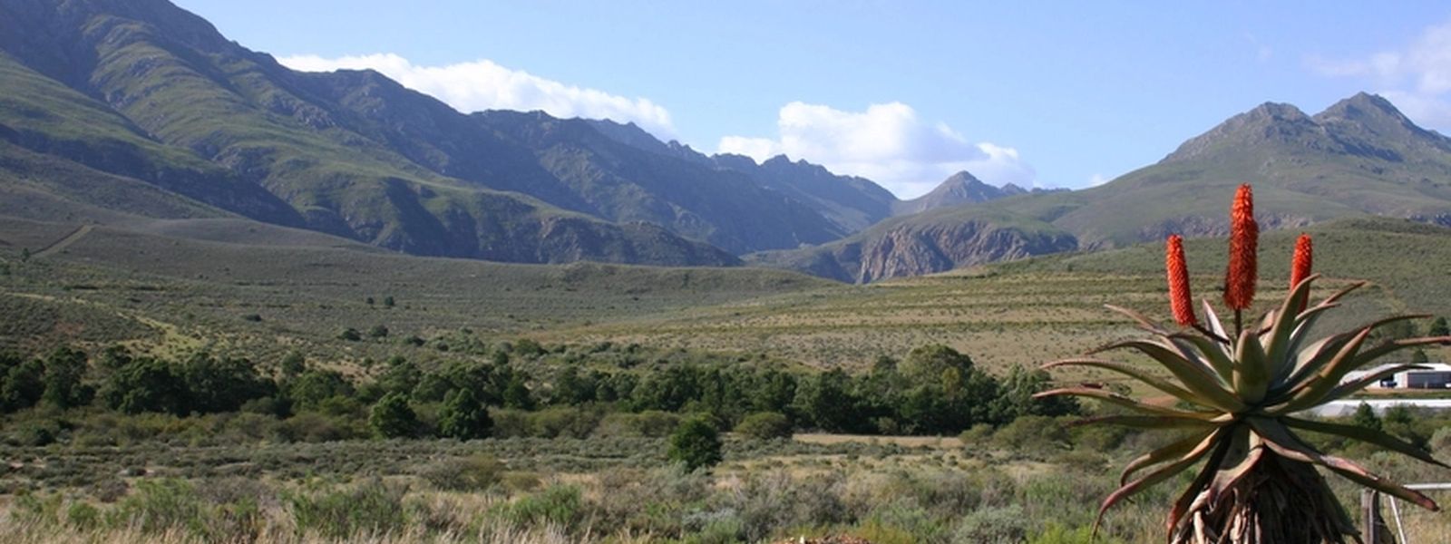 Am Weg zur Garden Route - Route 62