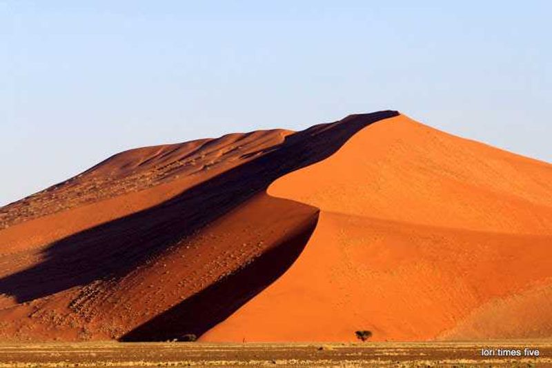 “We felt sad leaving the dunes. We had been looking forward to being here for a very long time. But oh it's been fantastic. Driving out we saw: herds of gemsbok (oryx), flocks of ostrich, a bevy of springbok, and a greater kestral.”