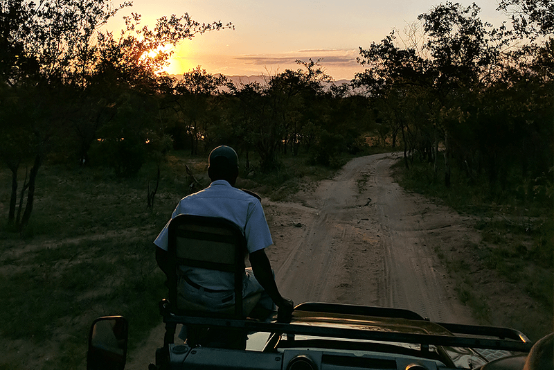 Pôres-do-sol na Reserva Karongwe fazem você nunca querer partir. Foto: Danilo Souza