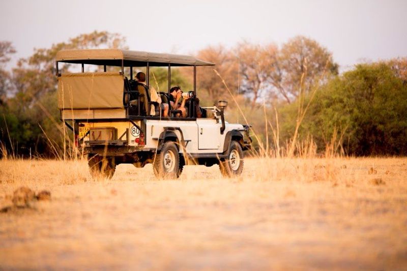 Fotografen auf einer Safari in einem offenen Geländewagen im afrikanischen Busch