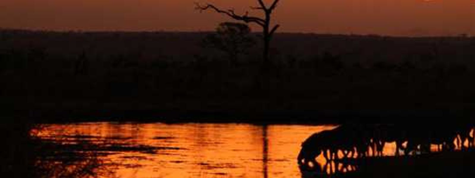 Samantha's Singita Safari: Part I