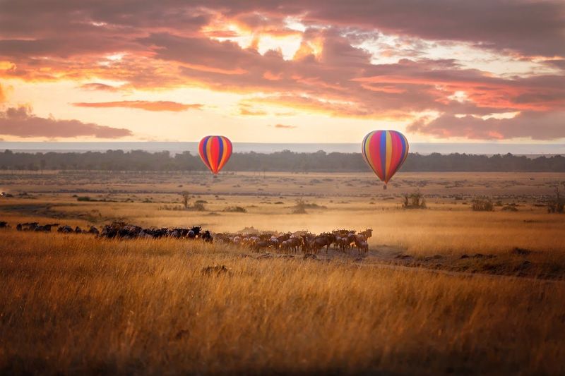 Quoi de plus romantique qu'un safari en montgolfière ?