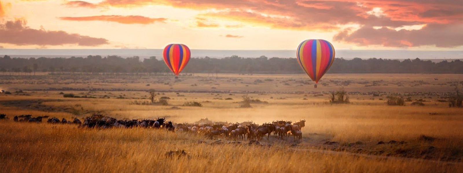 Top 15 Accommodations for a Front-Row View of the Great Migration