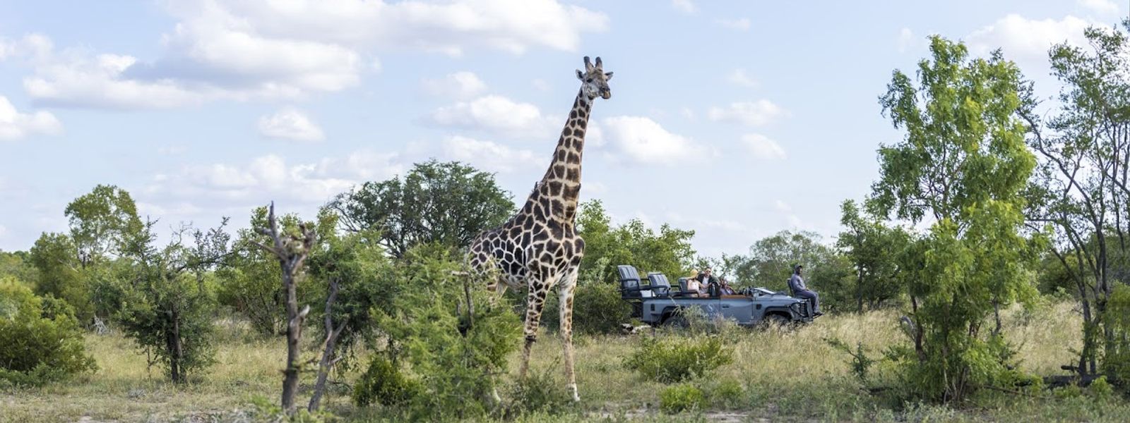 The Natural Cycle of the Kruger National Park’s Seasons: 2016 Drought Explained