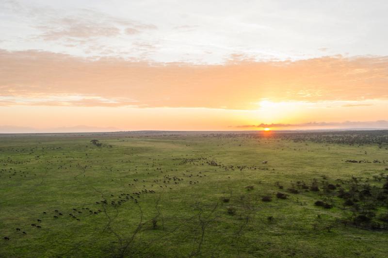 Malerischer Sonnenuntergang in der Serengeti