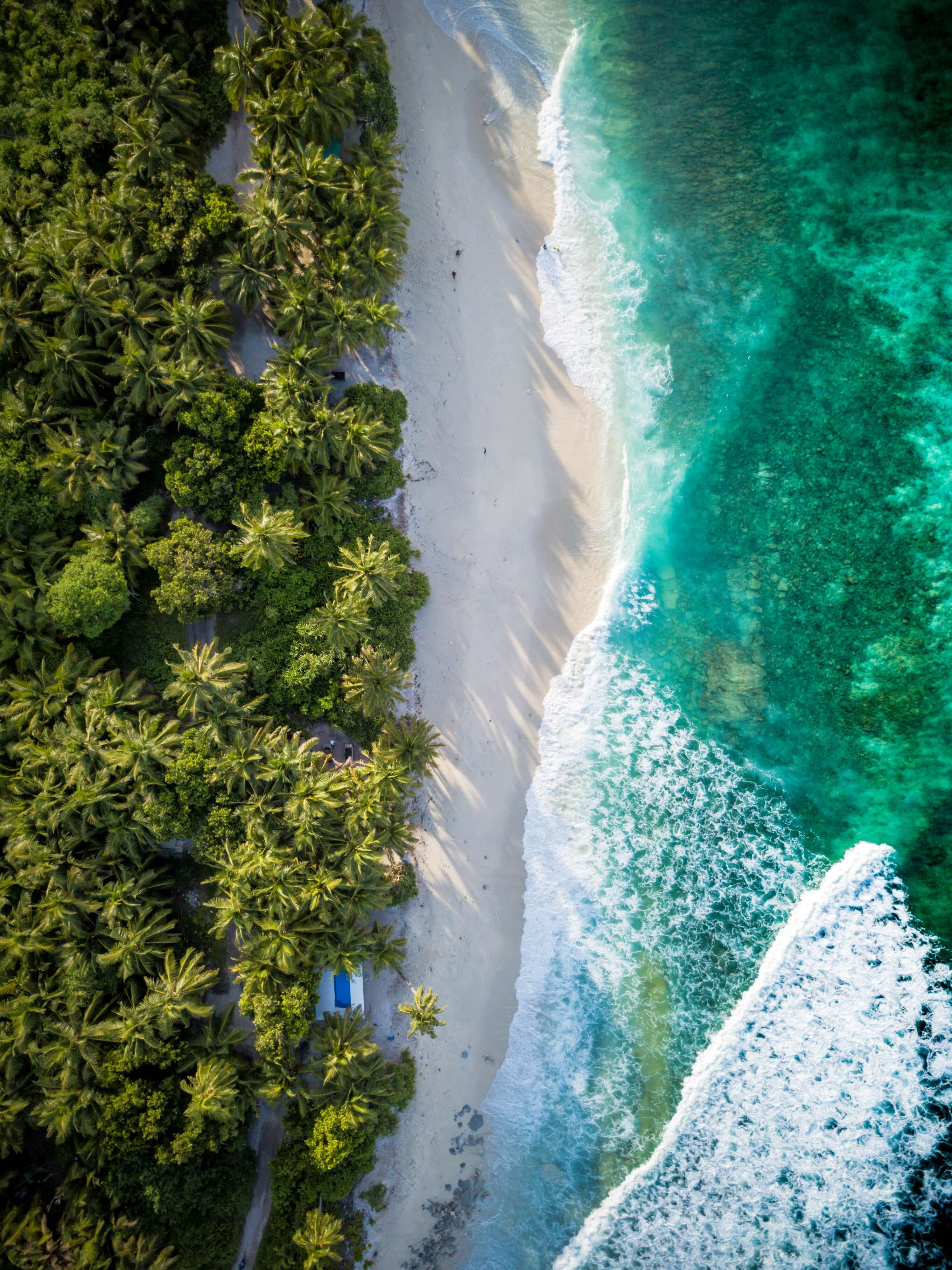 Quelle île de l'Océan Indien est faite pour vous ?