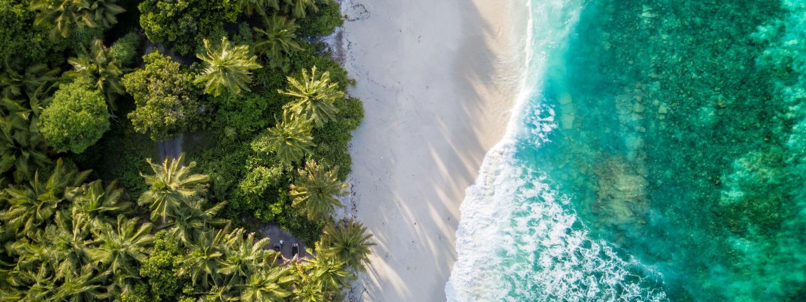 Quelle île de l'Océan Indien est faite pour vous ?