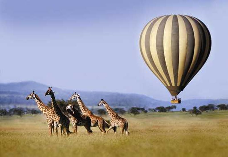 Hot air balloon floating above giraffes in the Serengeti, Image credit: Singita