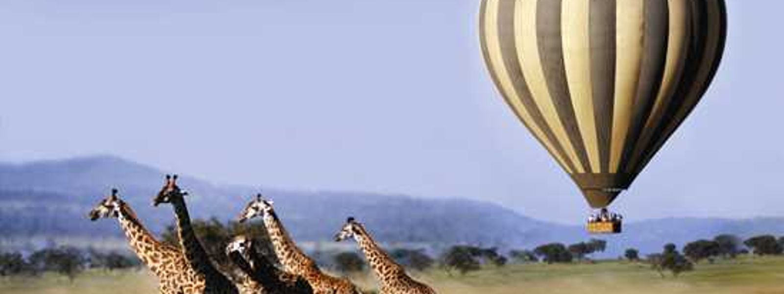 Up in the Air - Hot Air Ballooning in Africa