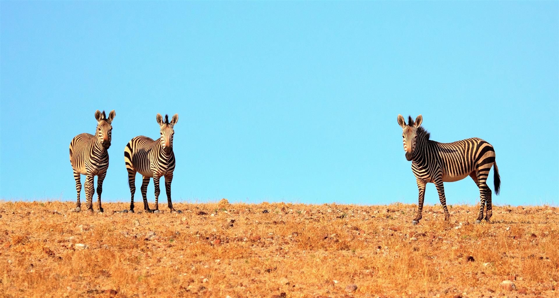 Namibie - Épisode 1 : Du Fish River Canyon au NamibRand