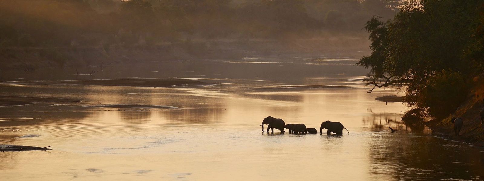 Beyond the Big 5: Why Julia Recommends Zambia for Repeat Travellers