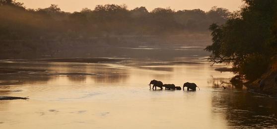 Beyond the Big 5: Why Julia Recommends Zambia for Repeat Travellers