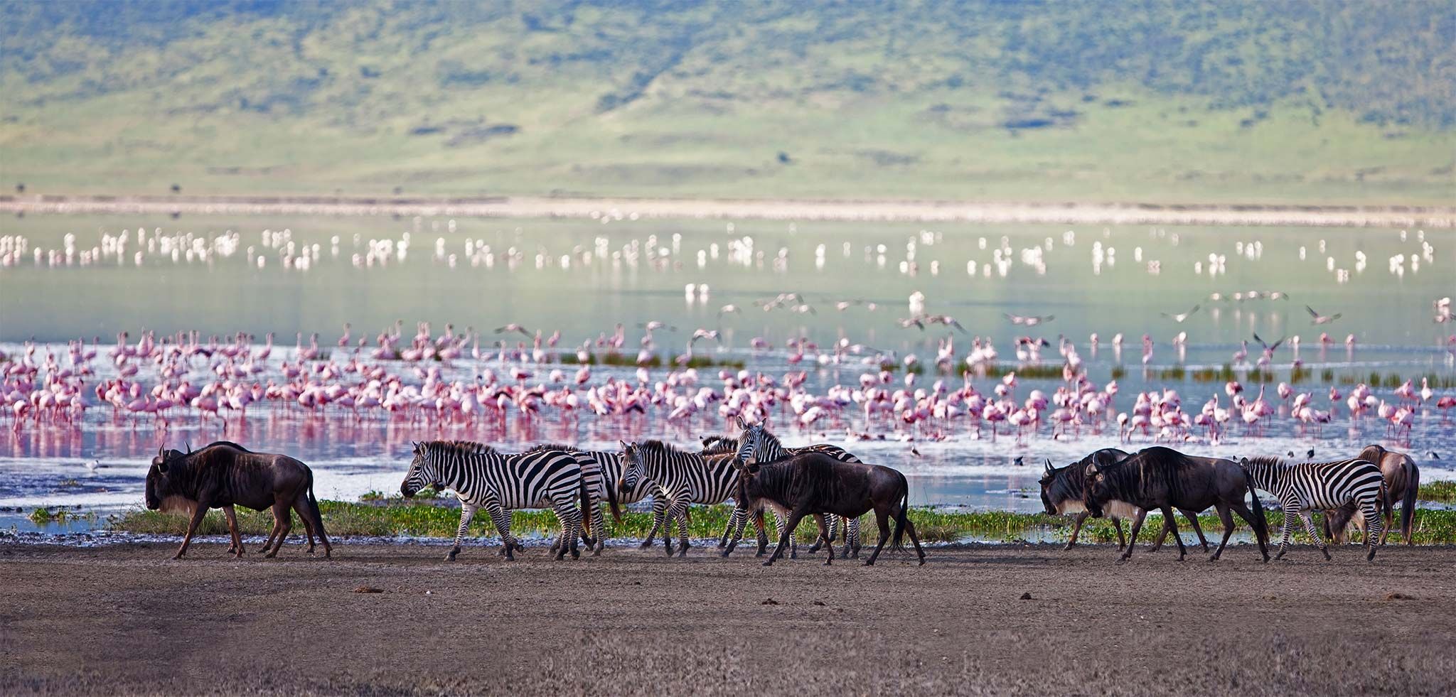 ¿Cuándo es la mejor época para visitar Tanzania?
