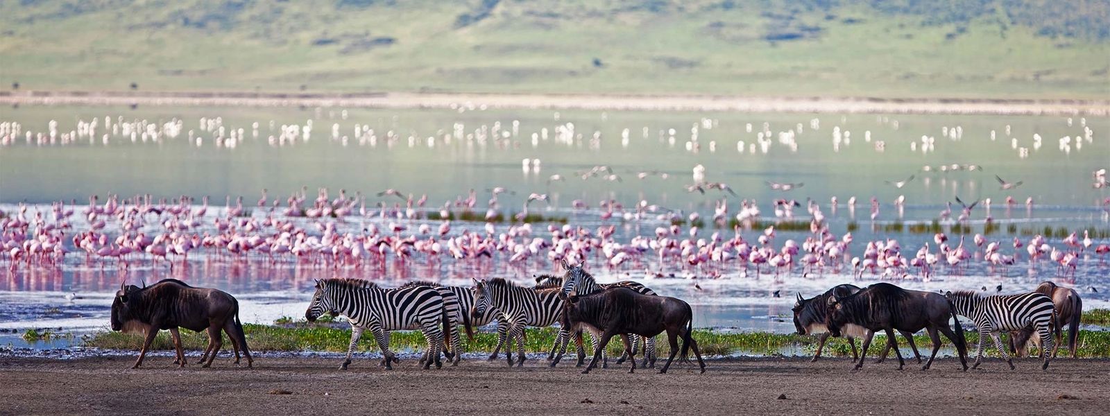 ¿Cuándo es la mejor época para visitar Tanzania?
