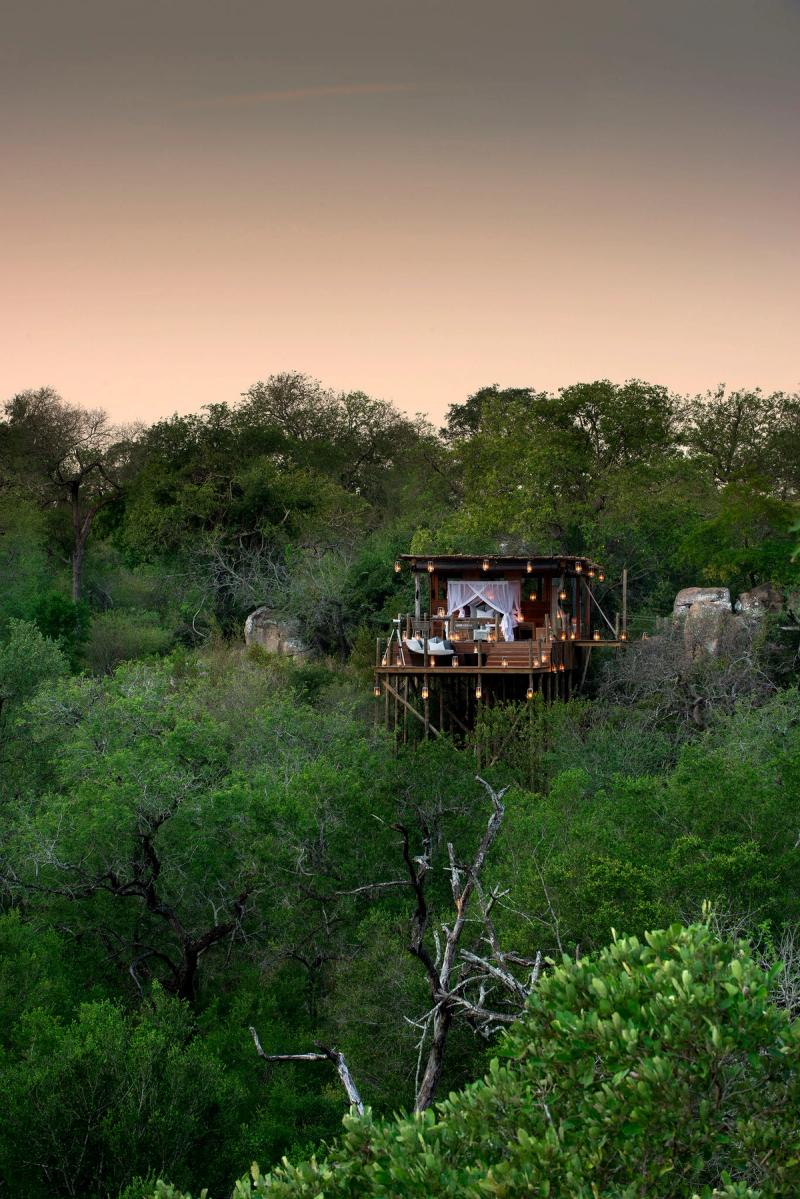 Kingston Treehouse from afar