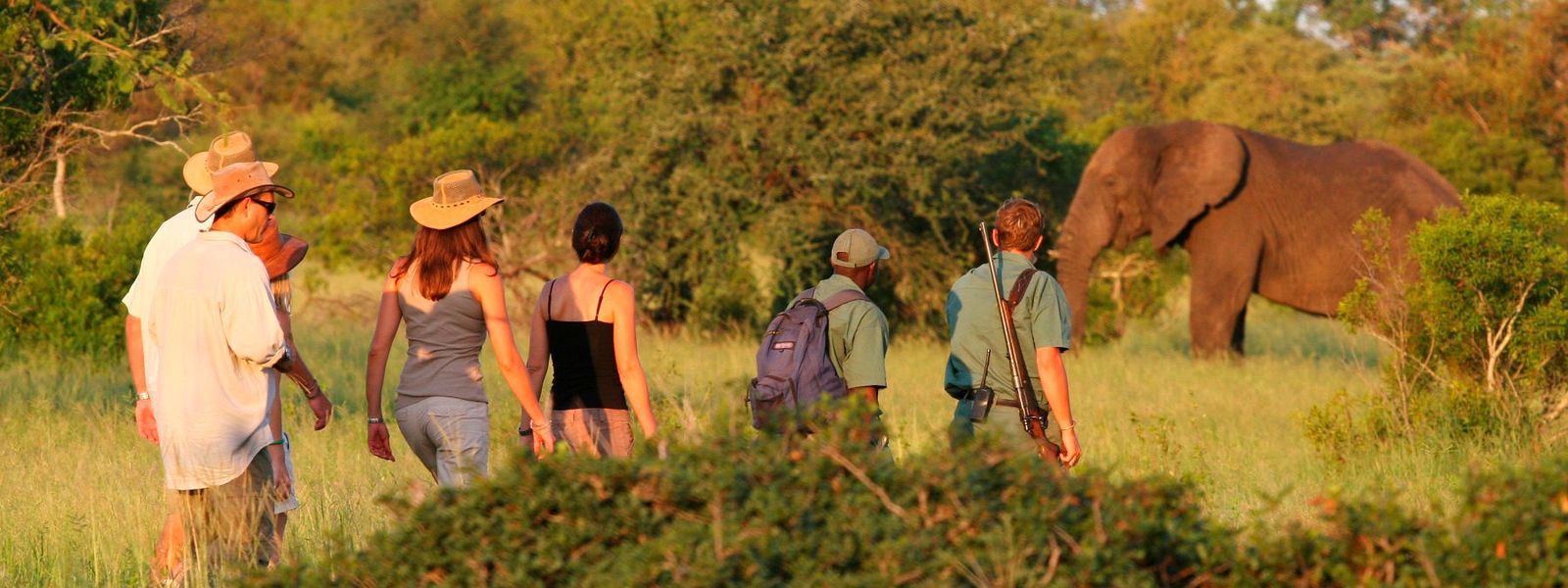 Walk on the Wild Side in Kruger: Rhino Walking Safaris
