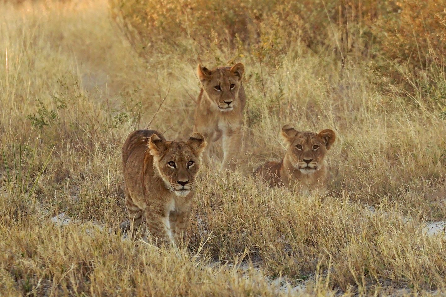 PHOTOS : Les nouveaux-nés les plus adorables d'Afrique