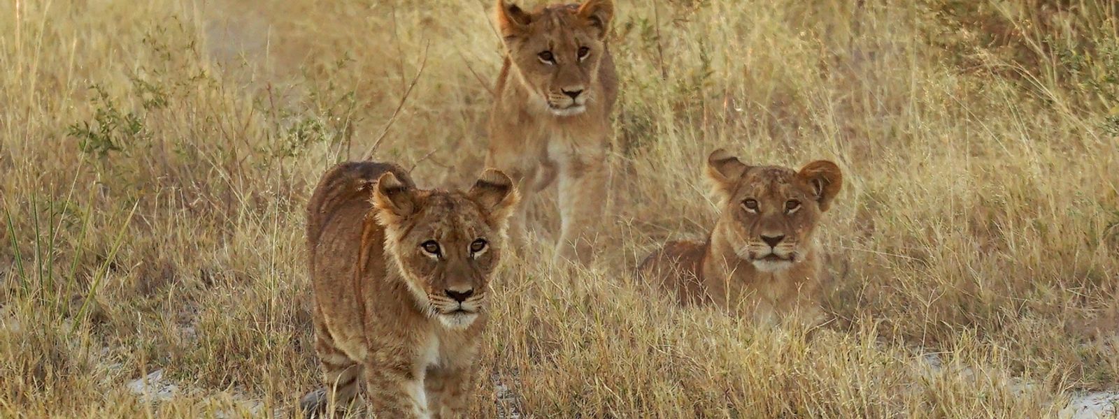 PHOTOS : Les nouveaux-nés les plus adorables d'Afrique