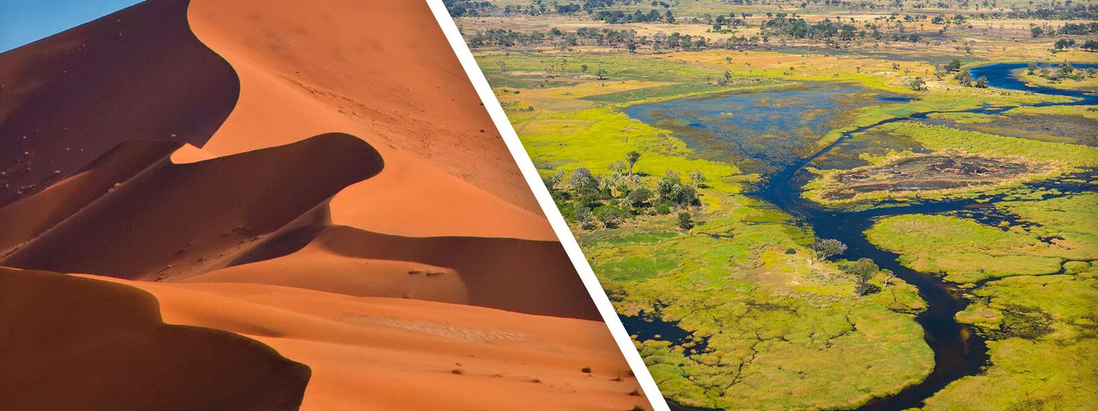 Serene Streams to Sacred Sands: Combining Namibia and Botswana Safaris