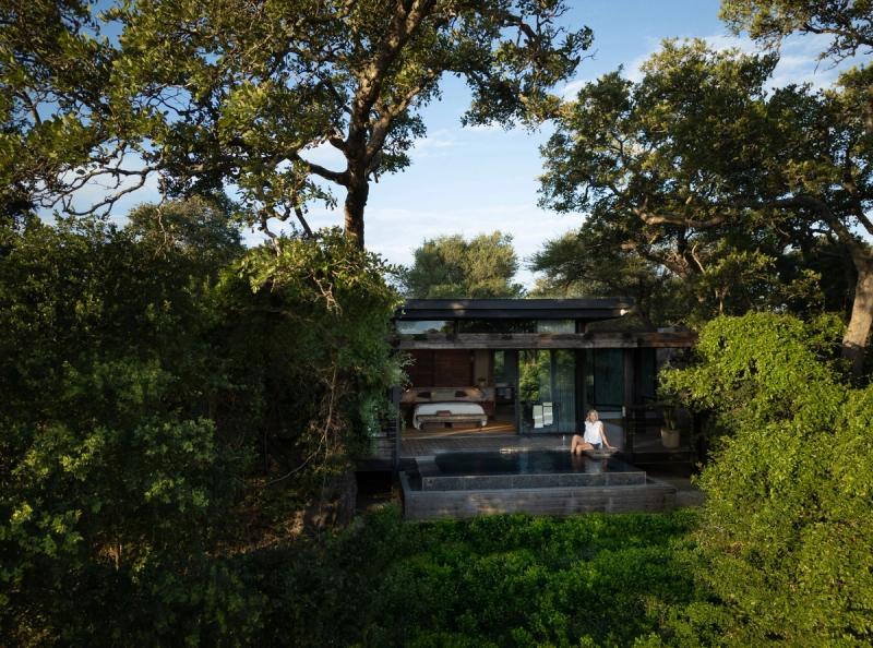 Modern suite with outdoor plunge pool and daybed nestled among large trees in a natural setting.