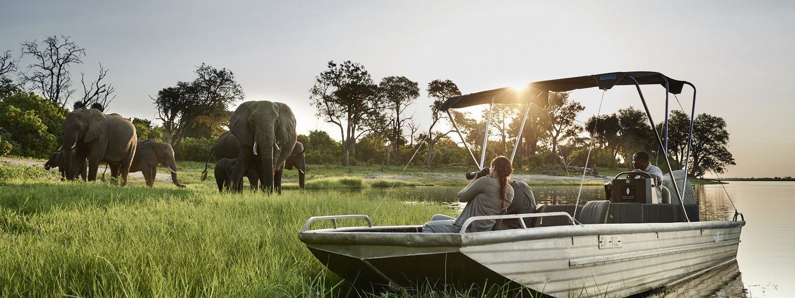 Ihr Safari Guide für den Chobe Nationalpark
