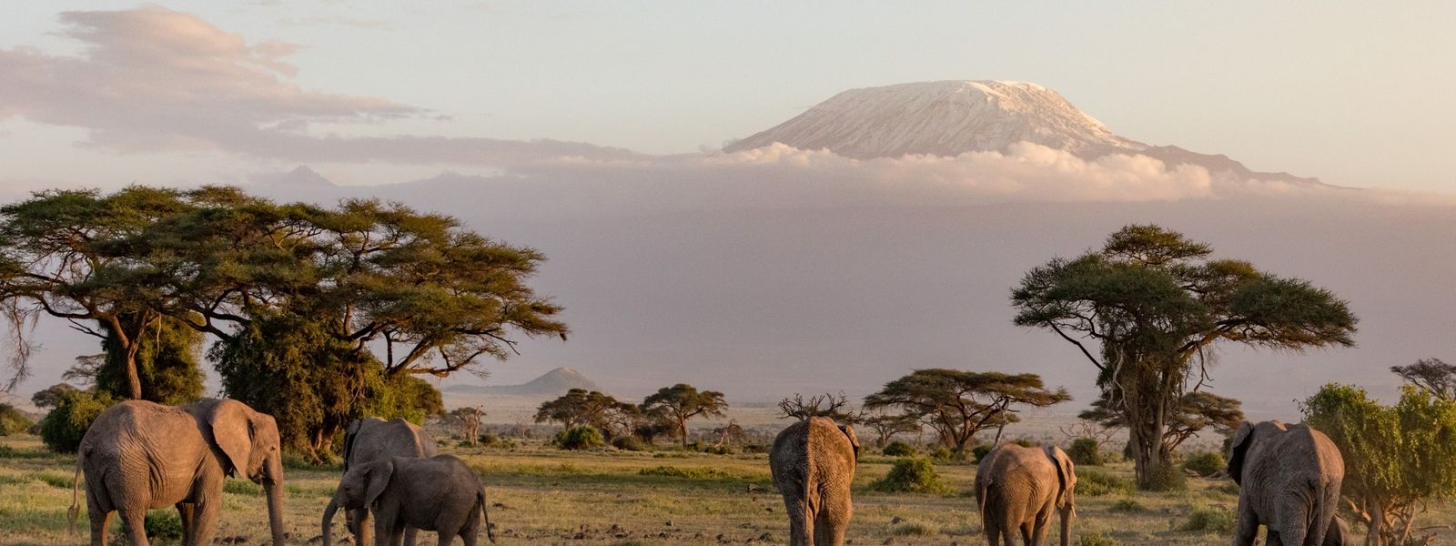 Nationalparks in Kenia – so unterscheiden sie sich