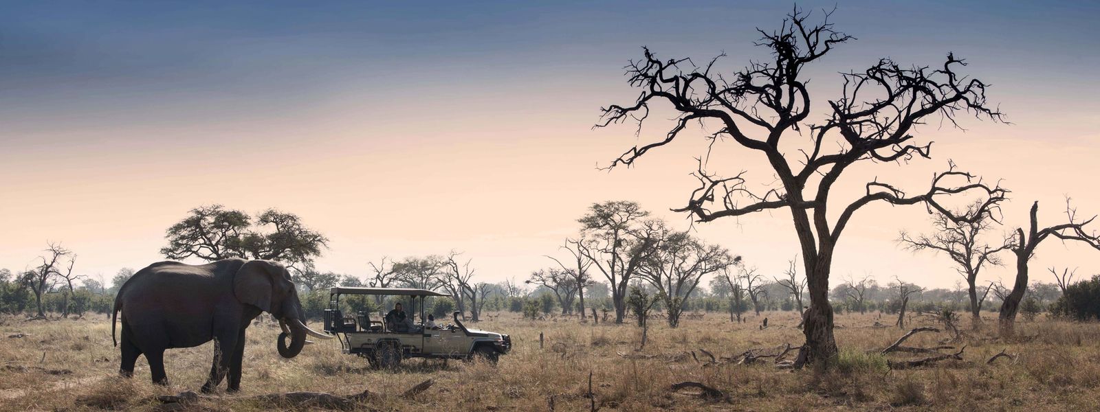 Safári com African Bush Camps | Oferta Especial