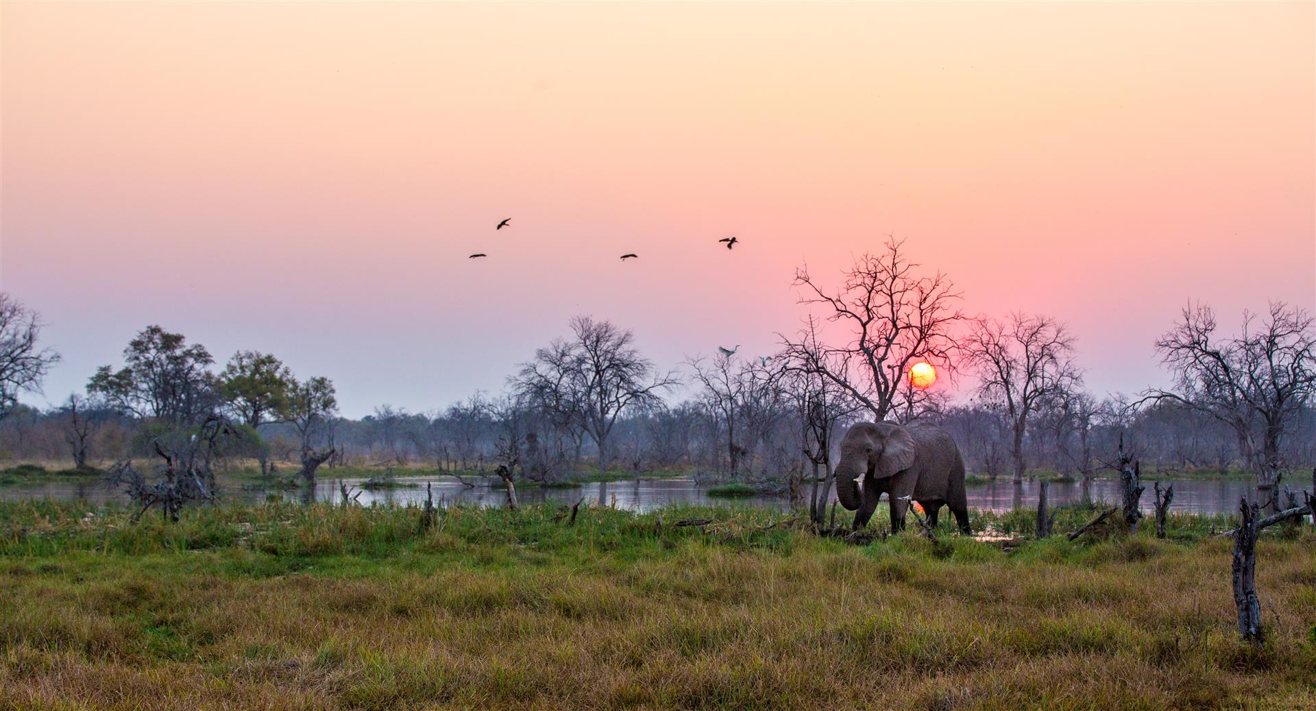 36 Gründe, warum Sie niemals nach Afrika reisen sollten