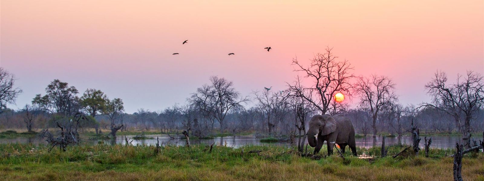 36 Gründe, warum Sie niemals nach Afrika reisen sollten