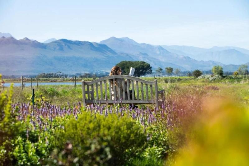 A woman reads a book on a bench with a view of the mountains in Franschhoek, one of the best places to visit in the Cape Winelands