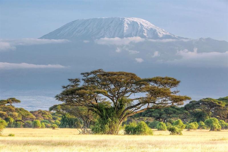 Snow-capped Mount Kilimamjaro Landscape
