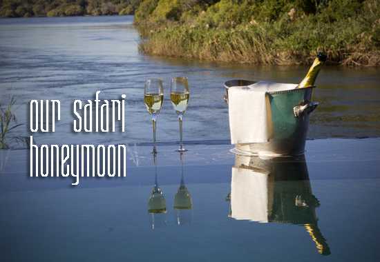 Our Safari Honeymoon - by Brad & Debbie Baumgarten