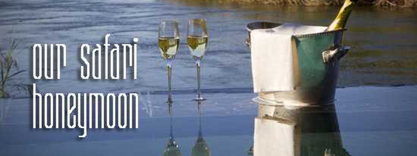Our Safari Honeymoon - by Brad & Debbie Baumgarten