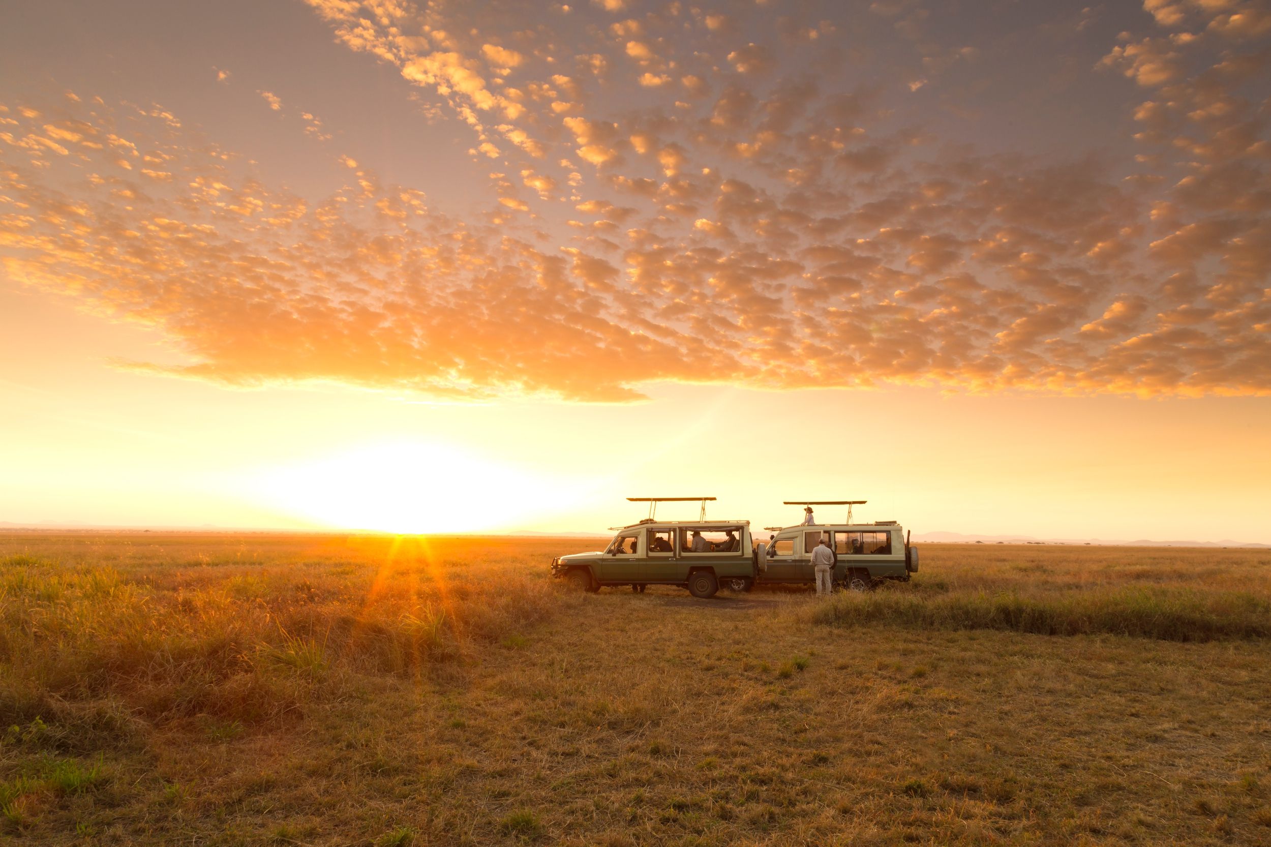 Notre top 10 des meilleurs endroits pour un safari Big 5
