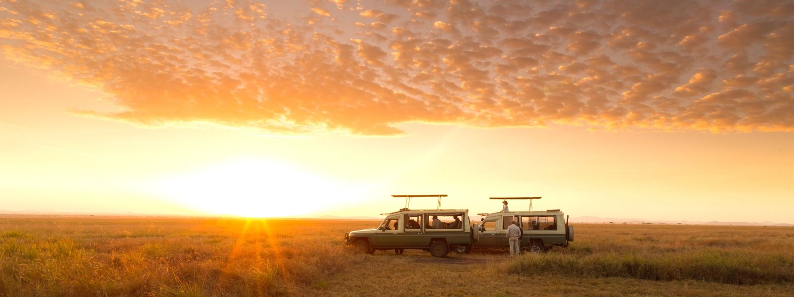 Notre top 10 des meilleurs endroits pour un safari Big 5