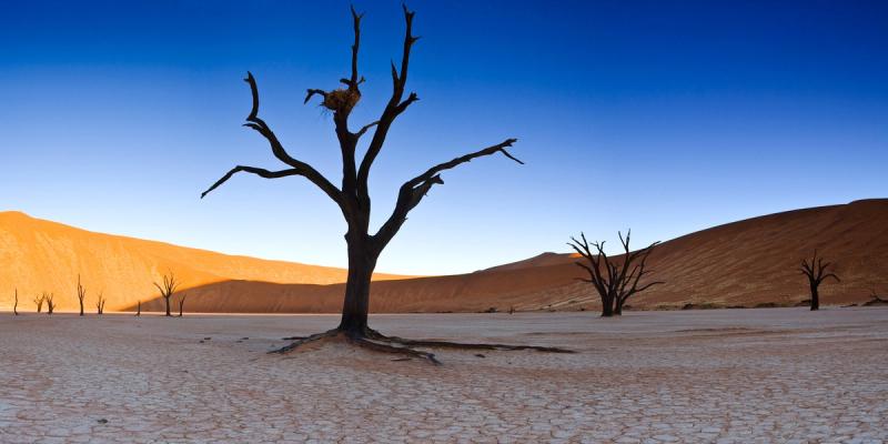 Calendario de África: Parque Nacional Sossusvlei en Namibia