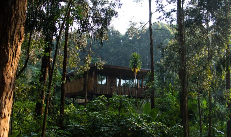 Your nest in the Rwandan jungle