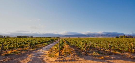 Our Favourite Restaurants in Hermanus
